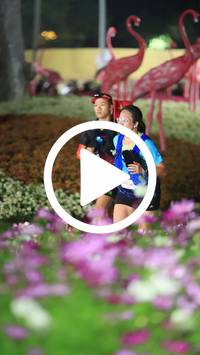 BIB:  <button type="button" onclick="openModal(27590006)" class="btn btn-primary btn-sm float-right" data-toggle="modal" data-target=".modal-high-quality">
                <i class="fa fa-download"></i> Download
                </button>